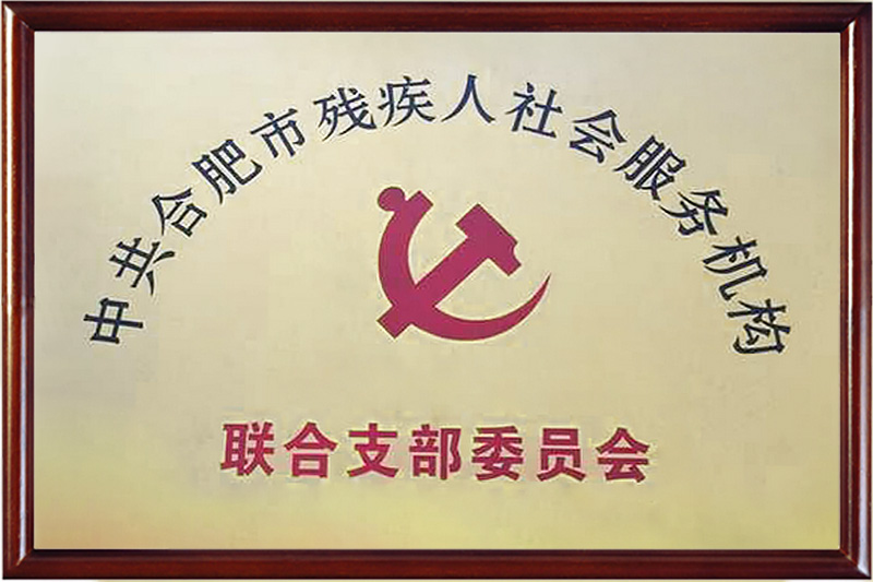 中共合肥市殘疾人社會(huì)服務(wù)機(jī)構(gòu)